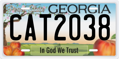 GA license plate CAT2038