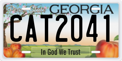 GA license plate CAT2041
