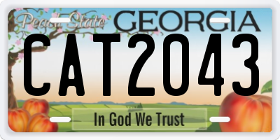 GA license plate CAT2043