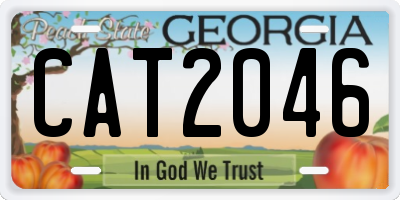 GA license plate CAT2046