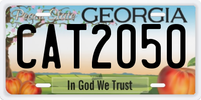 GA license plate CAT2050