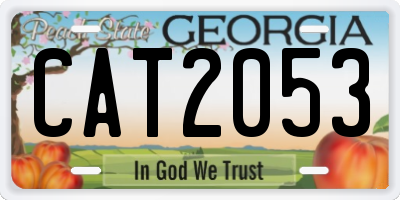 GA license plate CAT2053