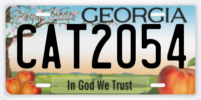 GA license plate CAT2054