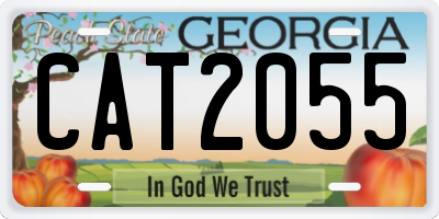 GA license plate CAT2055