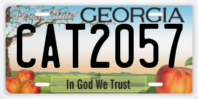 GA license plate CAT2057