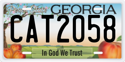 GA license plate CAT2058