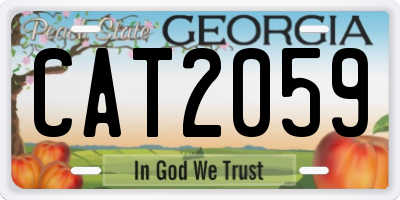 GA license plate CAT2059