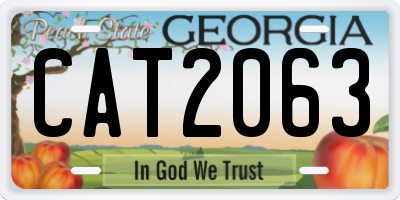 GA license plate CAT2063