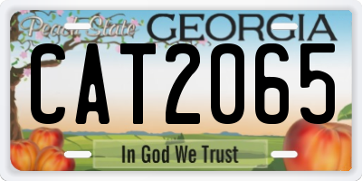 GA license plate CAT2065