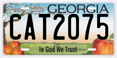 GA license plate CAT2075