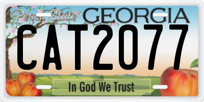GA license plate CAT2077