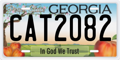 GA license plate CAT2082