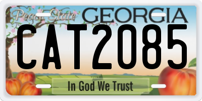 GA license plate CAT2085