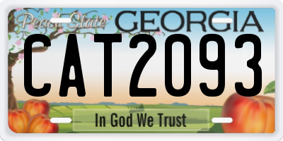 GA license plate CAT2093