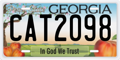 GA license plate CAT2098