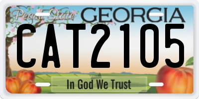 GA license plate CAT2105