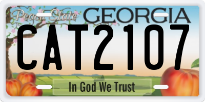 GA license plate CAT2107