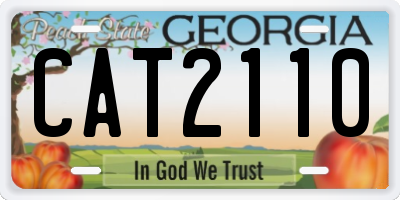 GA license plate CAT2110
