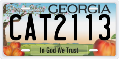 GA license plate CAT2113