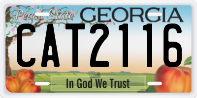 GA license plate CAT2116