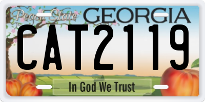 GA license plate CAT2119