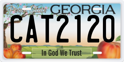GA license plate CAT2120