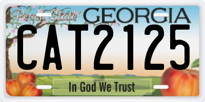 GA license plate CAT2125