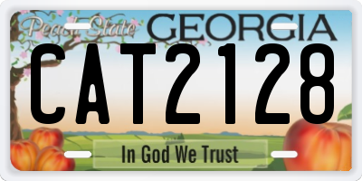 GA license plate CAT2128