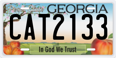 GA license plate CAT2133