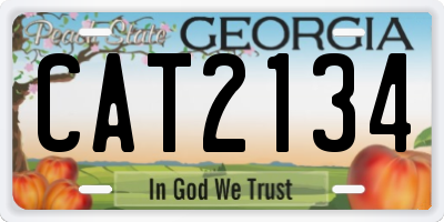GA license plate CAT2134