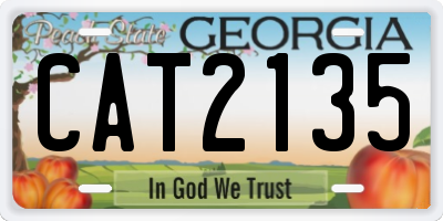 GA license plate CAT2135