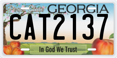 GA license plate CAT2137