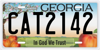 GA license plate CAT2142