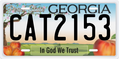 GA license plate CAT2153