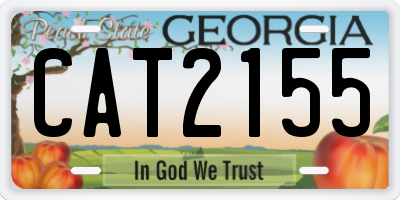 GA license plate CAT2155
