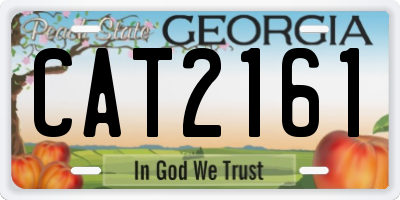 GA license plate CAT2161