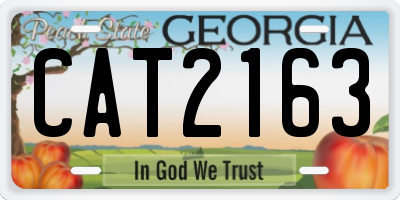 GA license plate CAT2163