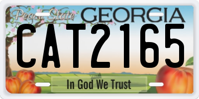 GA license plate CAT2165