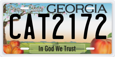 GA license plate CAT2172