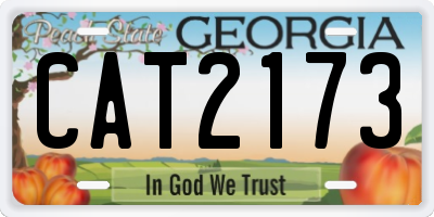 GA license plate CAT2173