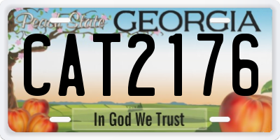 GA license plate CAT2176