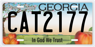 GA license plate CAT2177