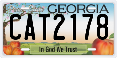 GA license plate CAT2178