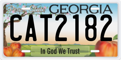 GA license plate CAT2182