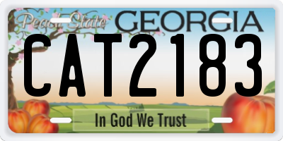 GA license plate CAT2183