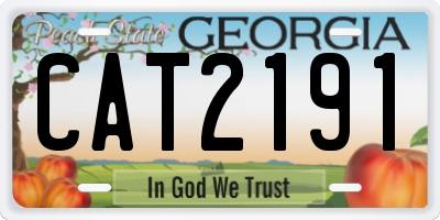 GA license plate CAT2191