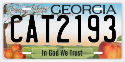 GA license plate CAT2193