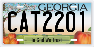 GA license plate CAT2201