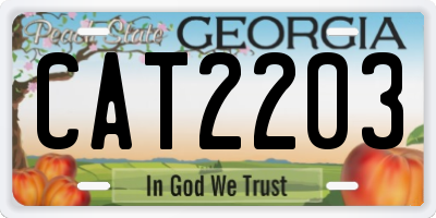 GA license plate CAT2203