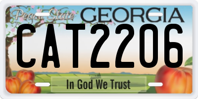 GA license plate CAT2206